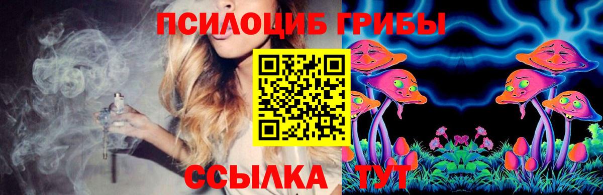 Псилоцибиновые грибы Magic Shrooms Чита